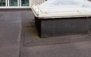 disadvantages of Ballydonegan flat roofs