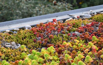 the cost of Ballydonegan green roof installation