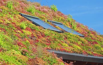 Ballydonegan living roof systems